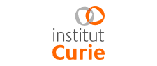 Institut Curie