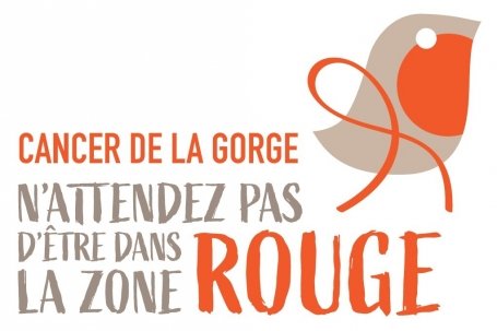 rouge gorge