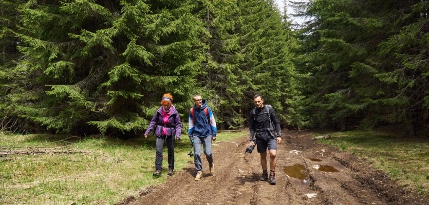 Tourists with backpacks hiking on a trail in the pine forests  elearning brothers